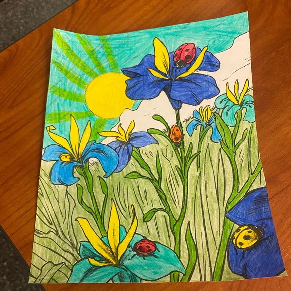 Other - Gorgeous Picture of Blue Flax Flowers